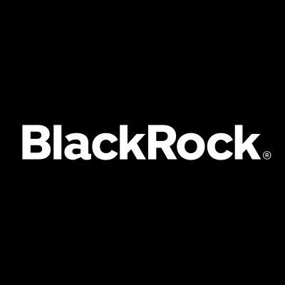BlackRock Investments Logo