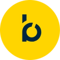 bloomreach.com Logo