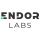 https://www.endorlabs.com Logo