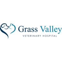 gvvet.com Logo