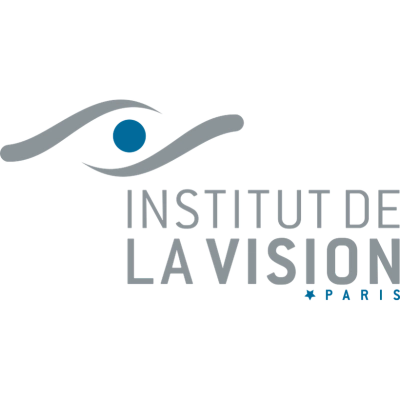 Institut de la Vision Logo
