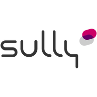 sully-group.com Logo