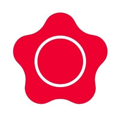 Verisure Services (UK) Limited Logo