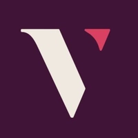 vye.agency Logo